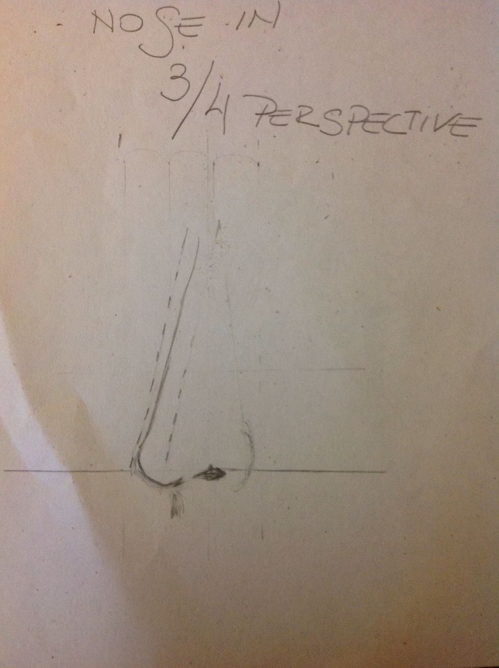 Erase the lines that connect the tip of the nose with de nostril