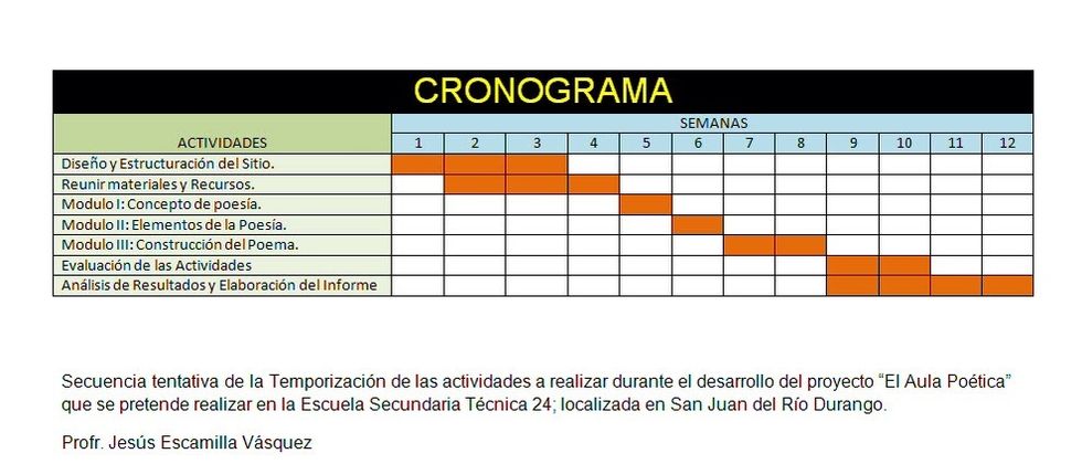 Es importante la organizaci\u00f3n del proyecto, un cronograma es una buena idea para la organizaci\u00f3n.