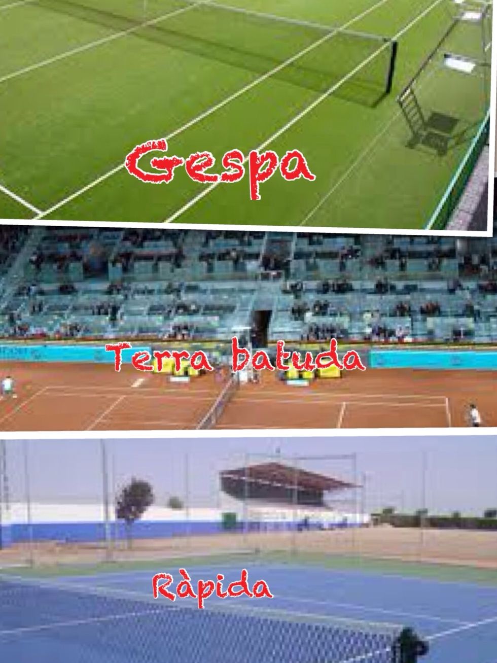 Es pot jugar en tres camps diferents