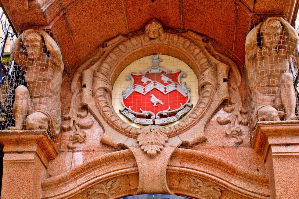 ..even closer, then look up. amazing!