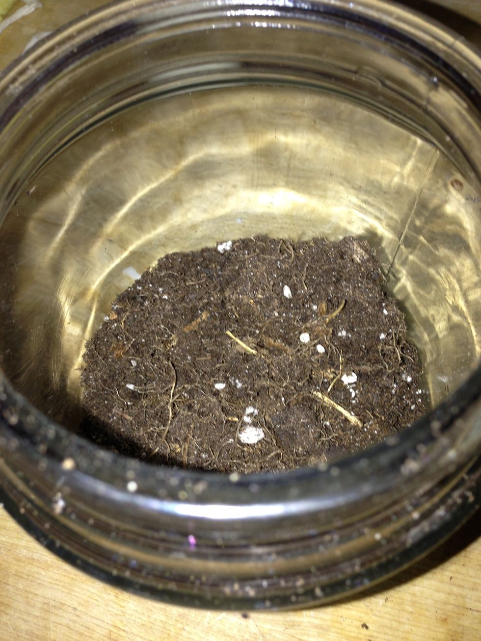 Even it out in the jar.