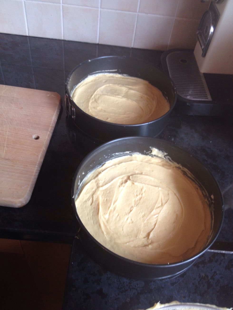 Evenly distribute the mixture into both tins. Use a spatula or a knife to spread it smoothly.
