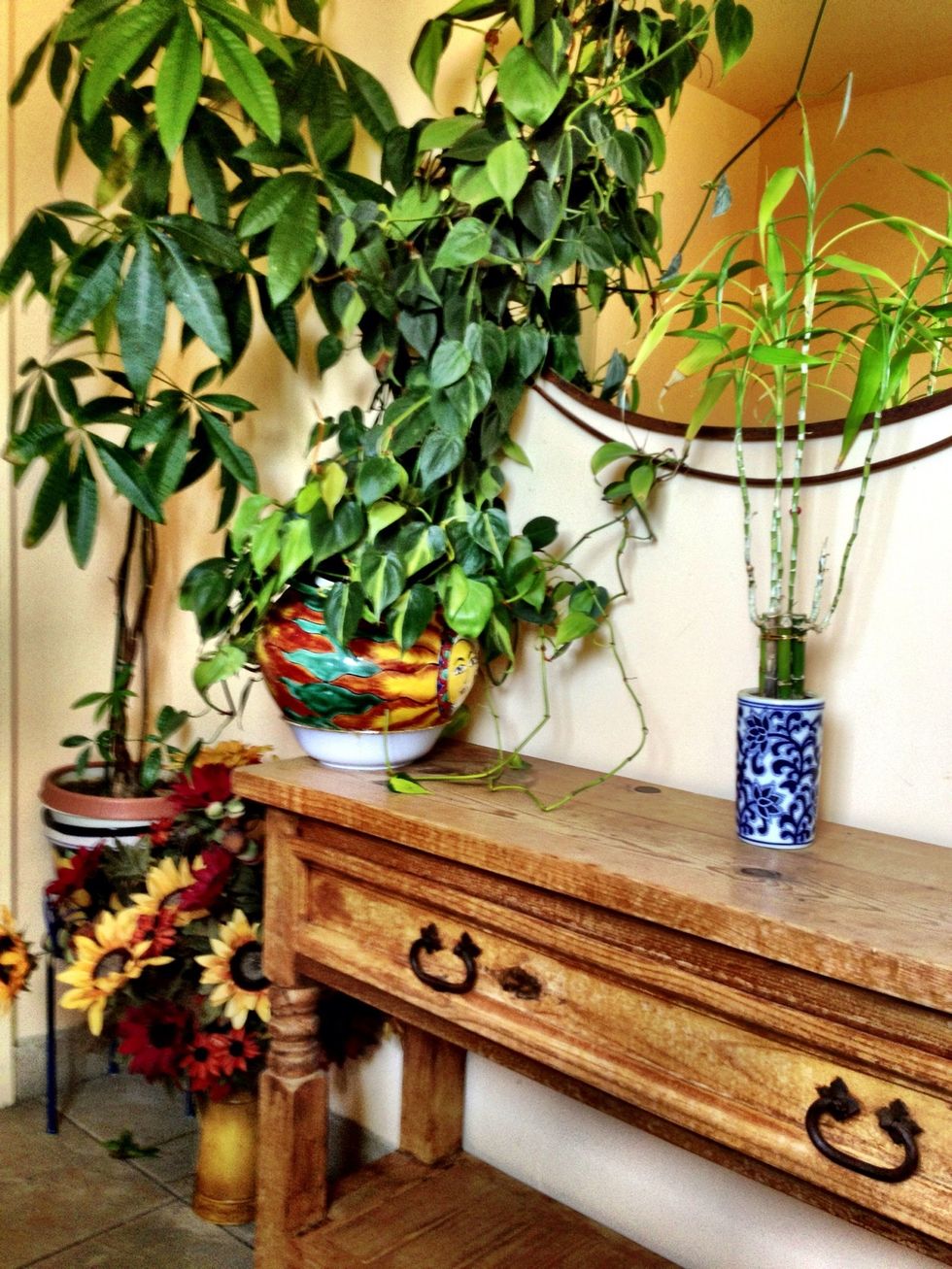 Ever winery in Carneros seems to try to outdo all the others with the most beautiful settings and surroundings. This is inside the Robledo Family Winery's bathroom!