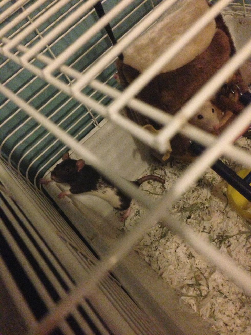 Everyone is happy when your room is clean!! :))