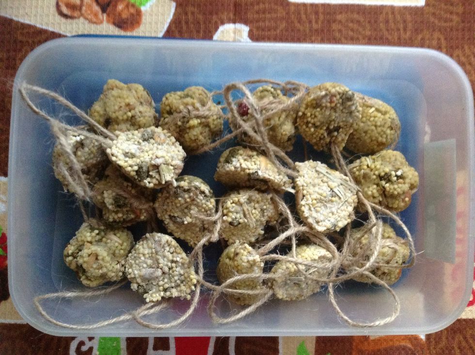 Everything is done! : ) You should just hang it on tree branches and let the birds enjoy the food.