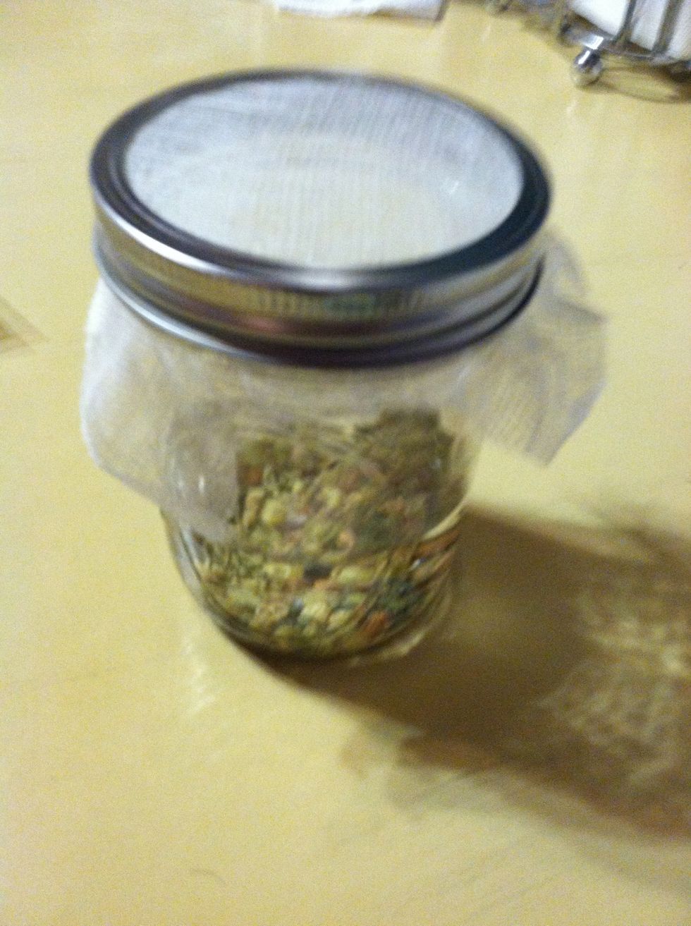 Example of what the jar should look like. Sprouting can take 3-7 days depending on what you are sprouting.