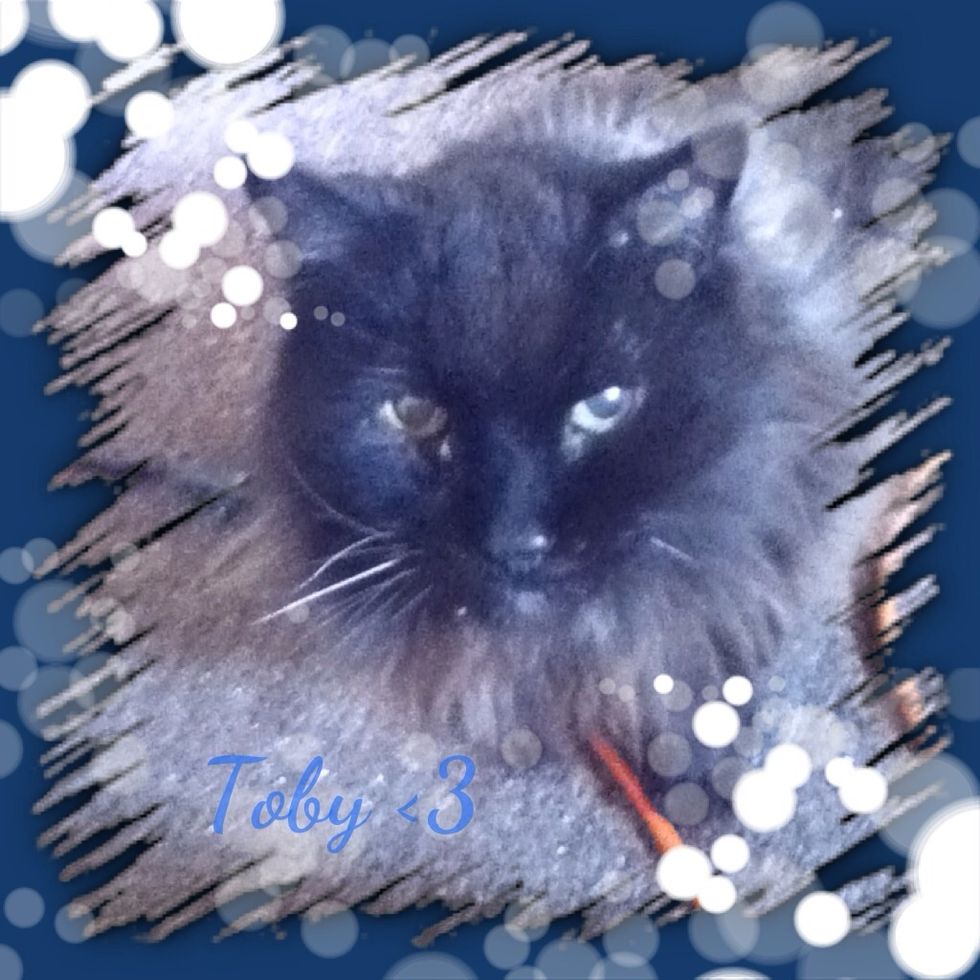 Example of Your Moments editing. (;