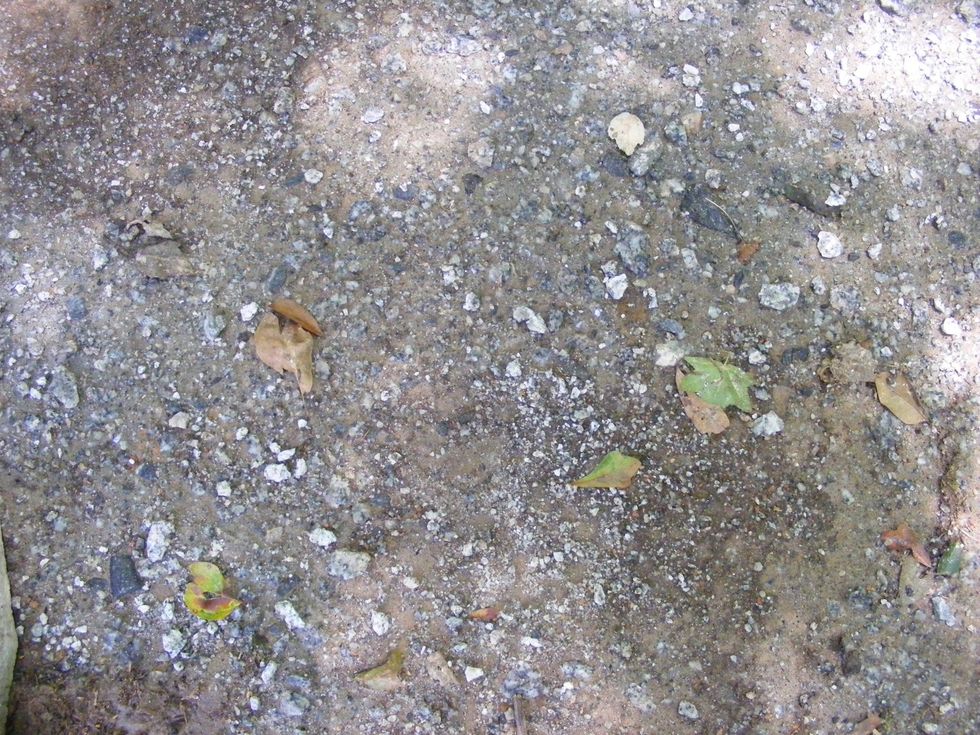 Excavate an area and add 3 inches of paver base. Tamp and level. Pick an area away from flammable structures.