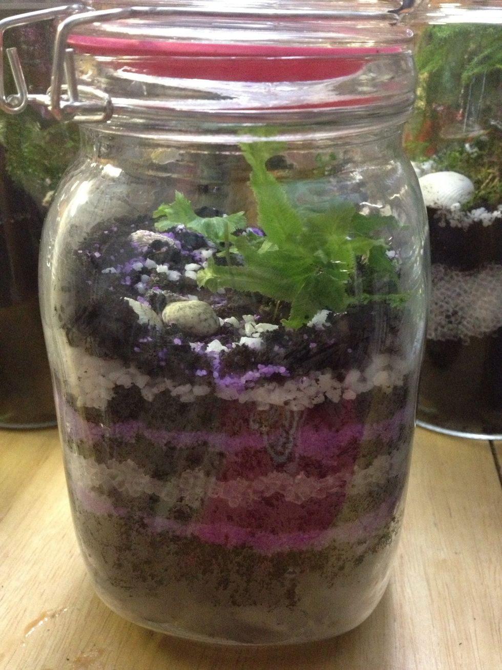 Experiment with different colours, plants and jars!