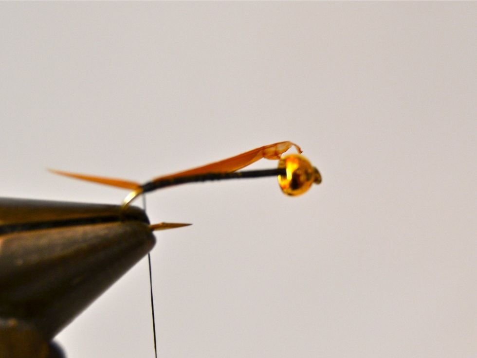 Extend a single tan goose biot 'barb' about 1/4 inch past the end of the hook and tie to the OPPOSITE side. Make sure the pointed end faces back and that the natural curve curves away from the hook.