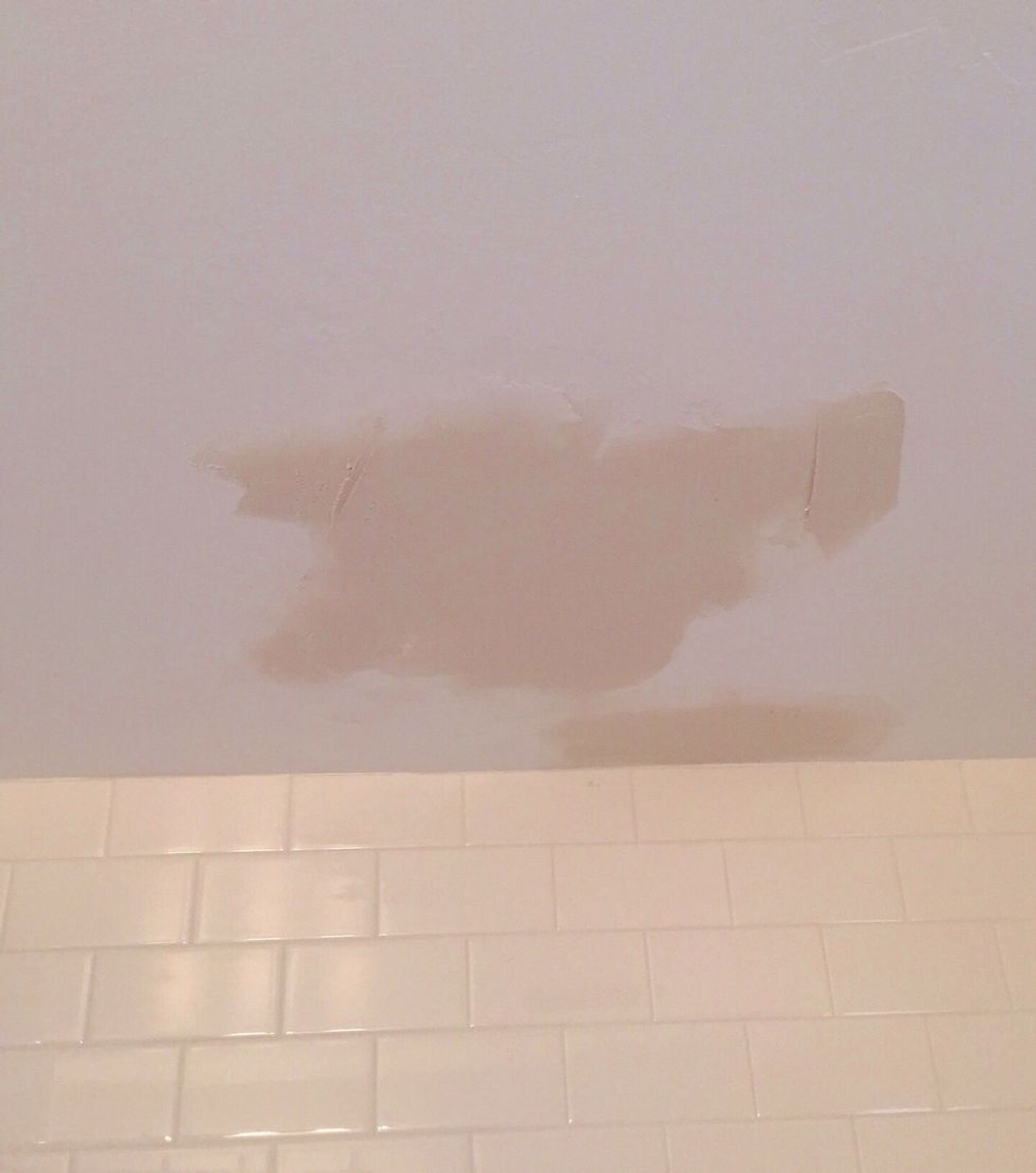 How to repair flaking paint on ceiling B+C Guides