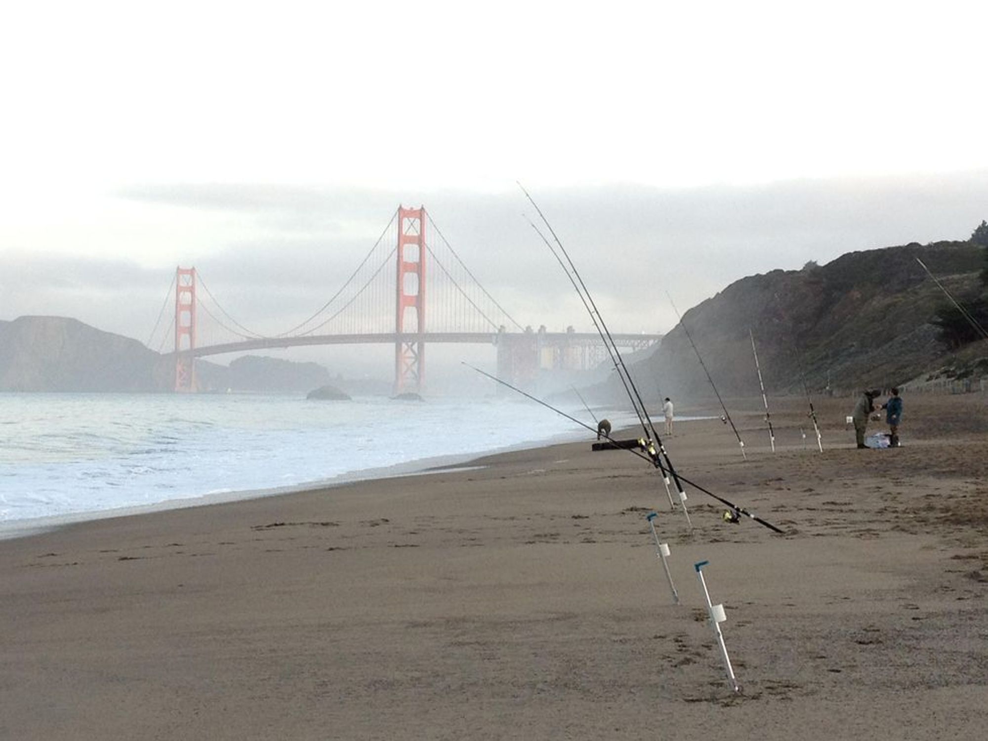 How to catch dungeness crabs B+C Guides