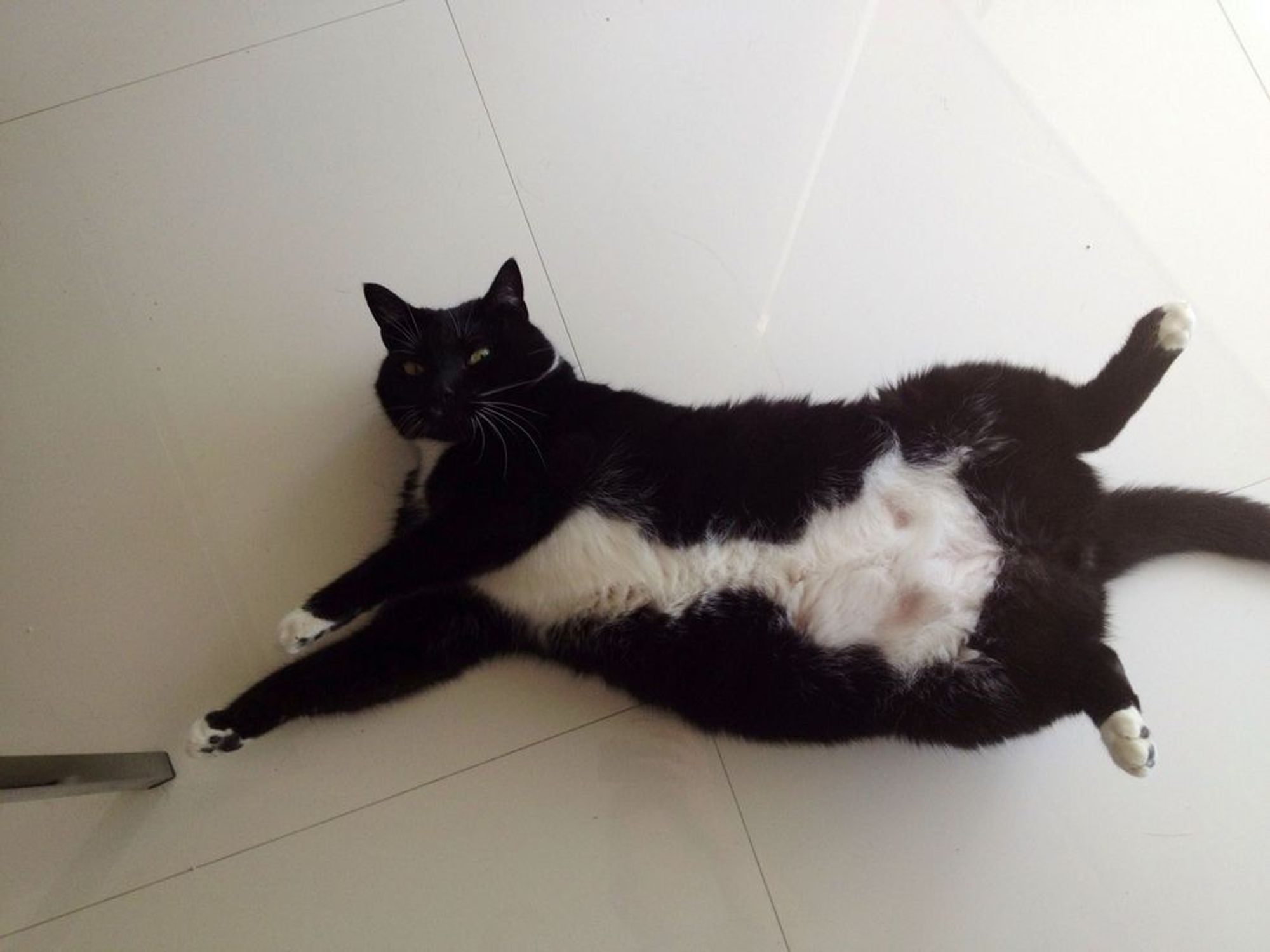 How to fix a slow or lagging directv box B+C Guides