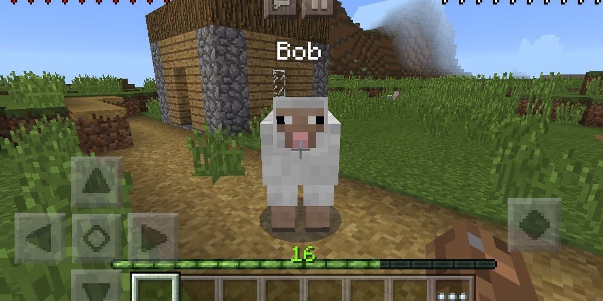 how-to-name-tag-animals-in-minecraft-b-c-guides