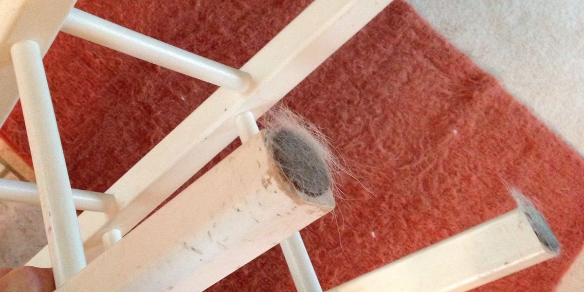 How to clean dog hair off furniture leg pads easy! B+C Guides