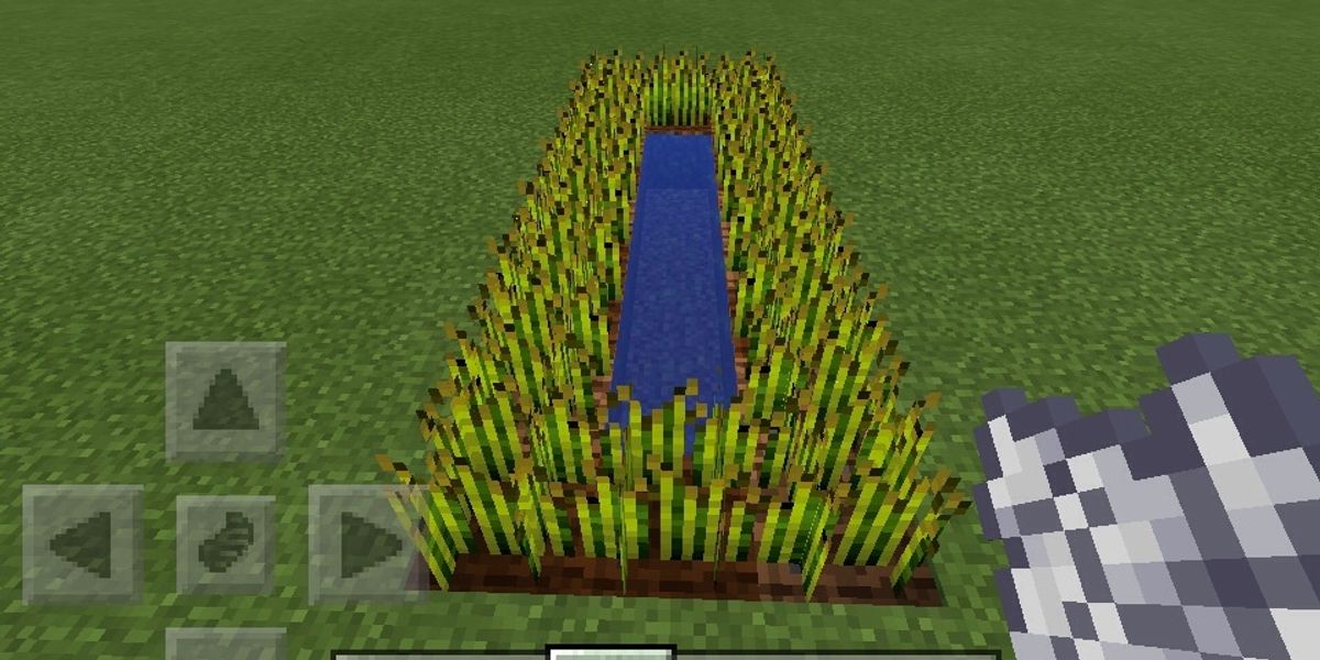 How To Grow Crops 100 Faster In Minecraft B C Guides