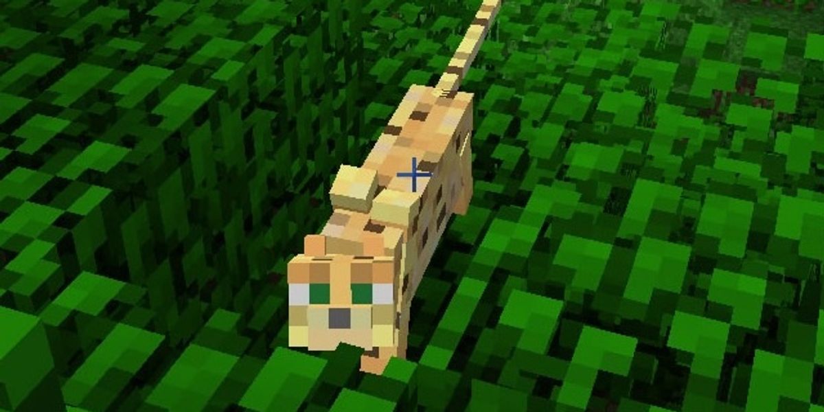 How to tame a cat in minecraft B+C Guides