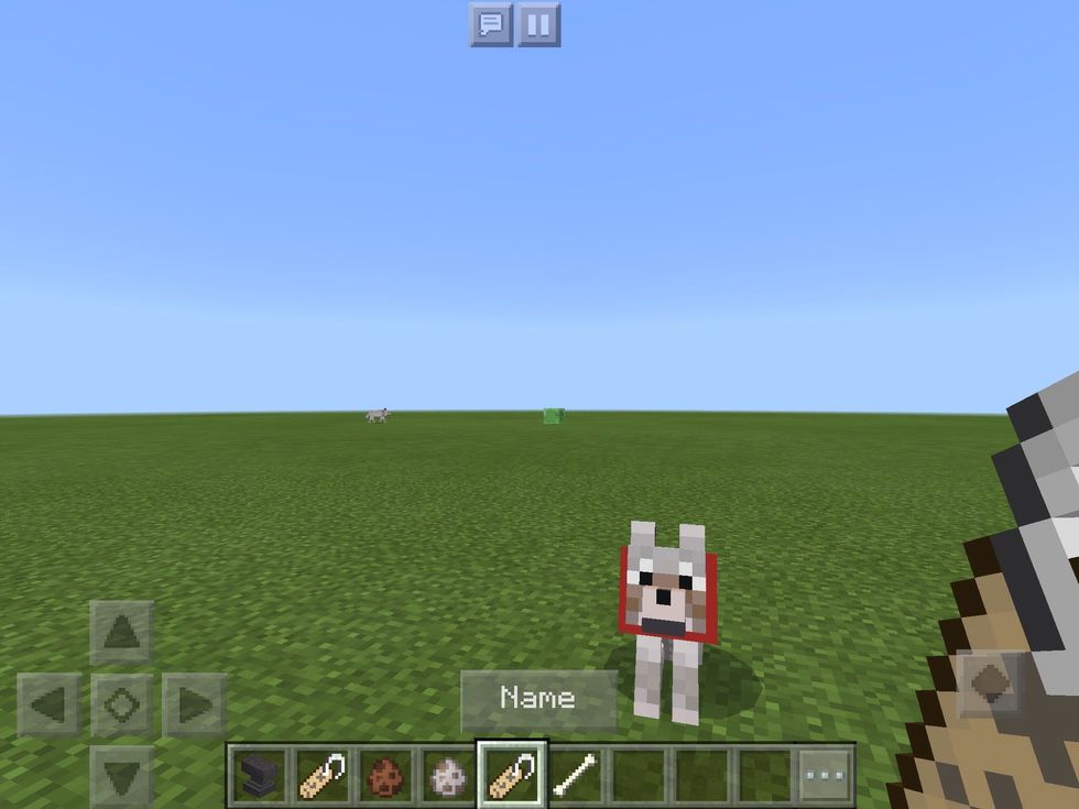 How to do name tag tricks in minecraft B+C Guides