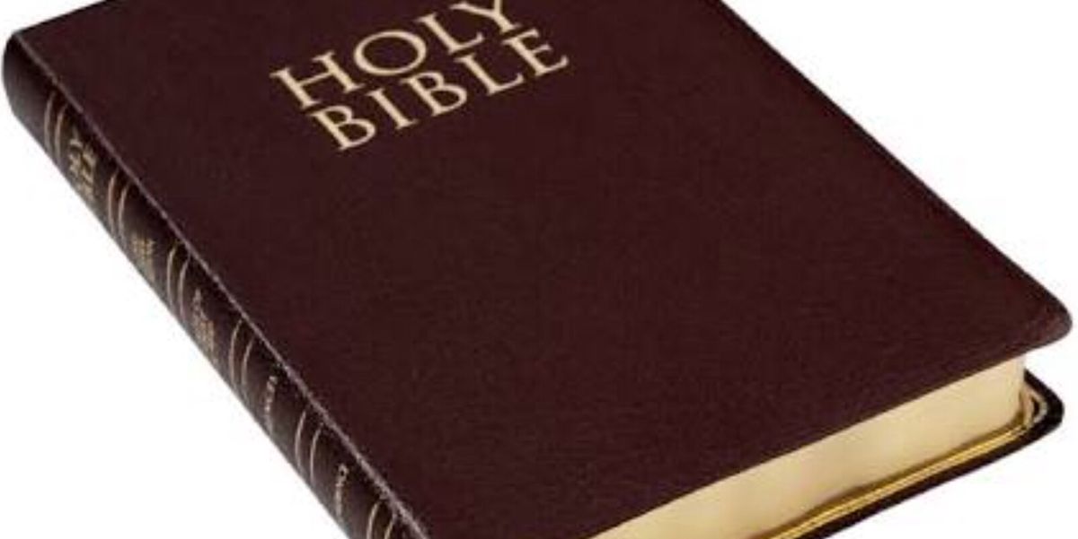 how-to-read-the-catholic-bible-b-c-guides