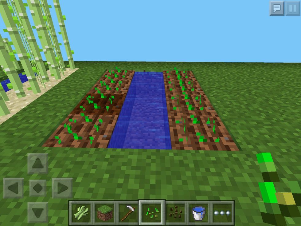 How to plant and grow things in minecraft pe edition B+C Guides