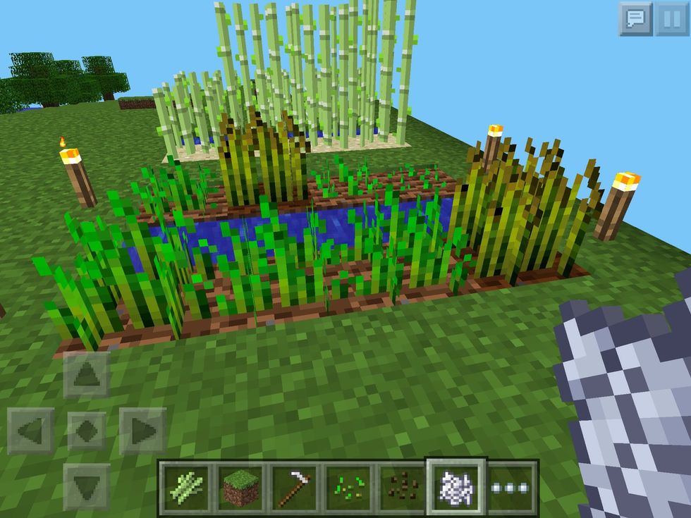 How to plant and grow things in minecraft: pe edition - B+C Guides