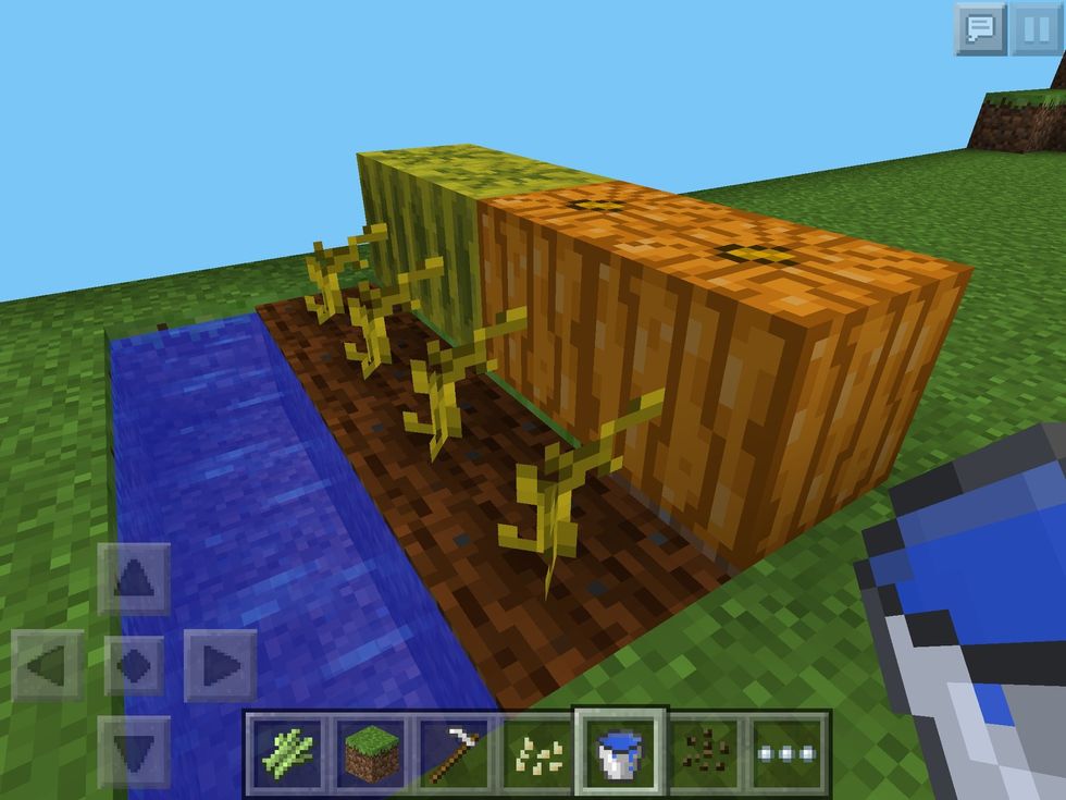 How to plant and grow things in minecraft pe edition B+C Guides