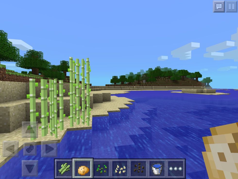 How to plant and grow things in minecraft: pe edition - B+C Guides