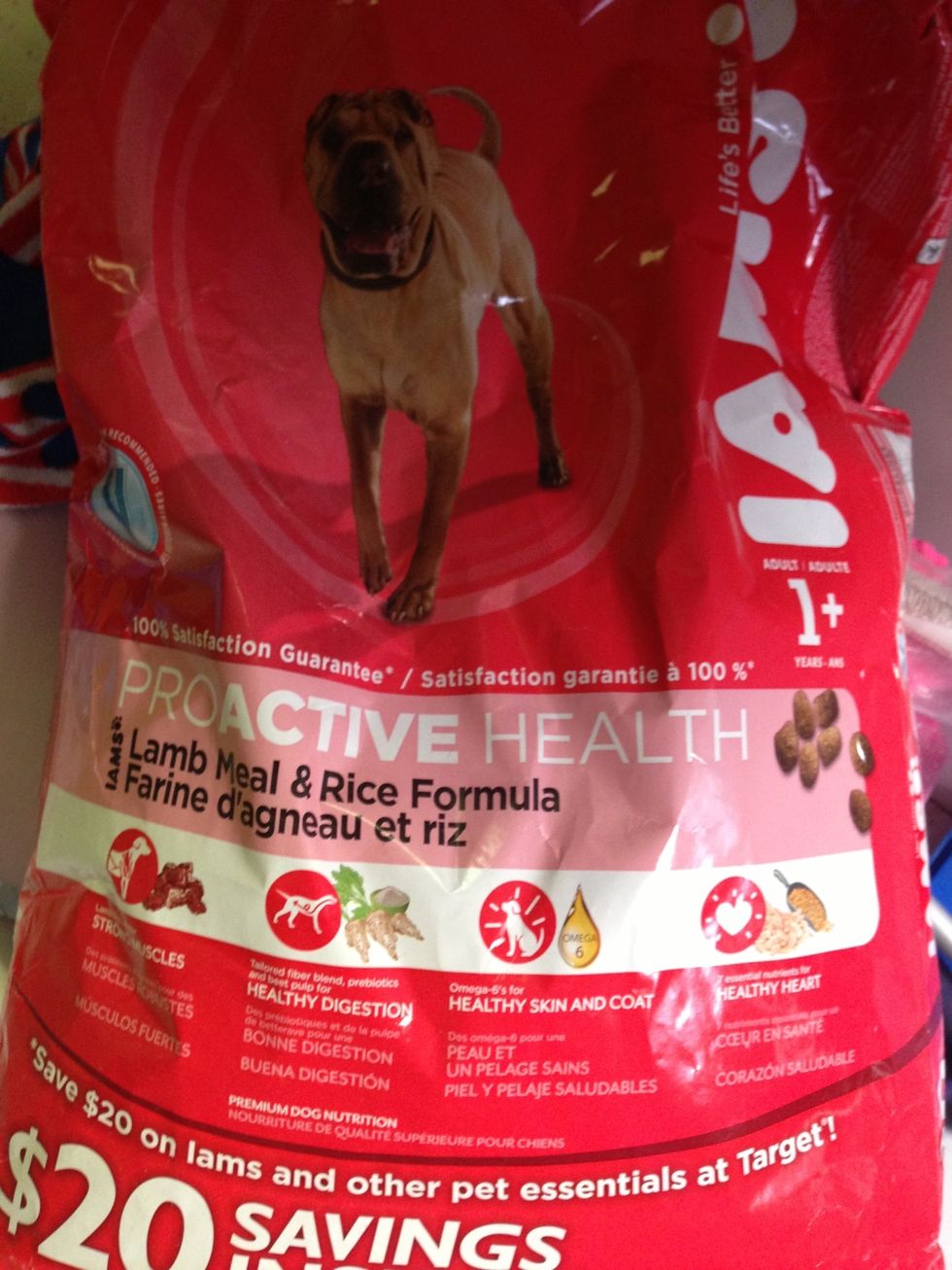 How to create soft dog food for elderly dog - B+C Guides