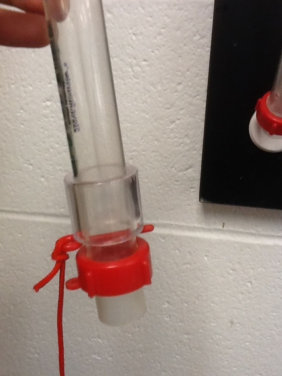 How to do the diet coke and mentos lab - B+C Guides