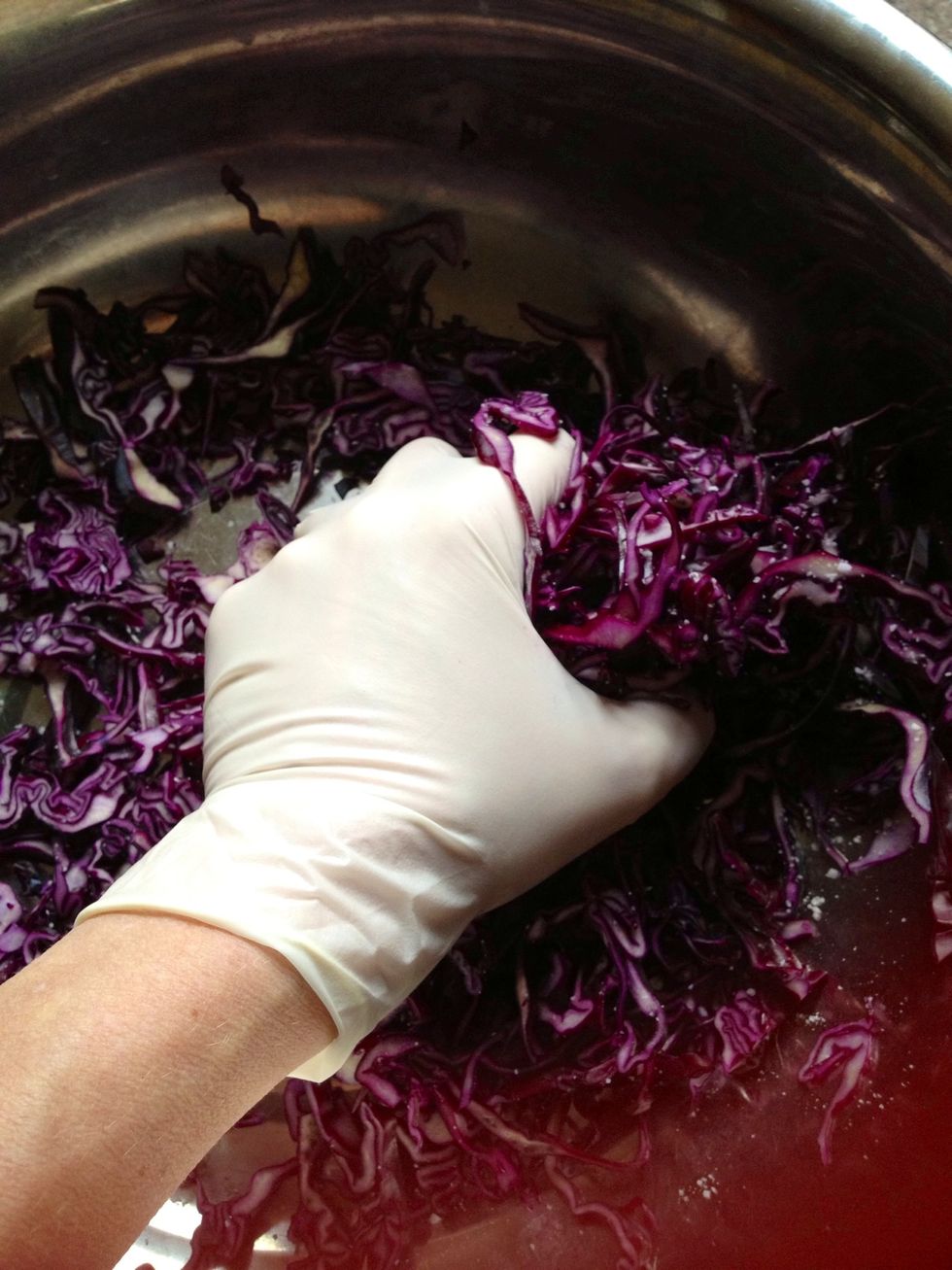 How to make raw red cabbage salad B+C Guides