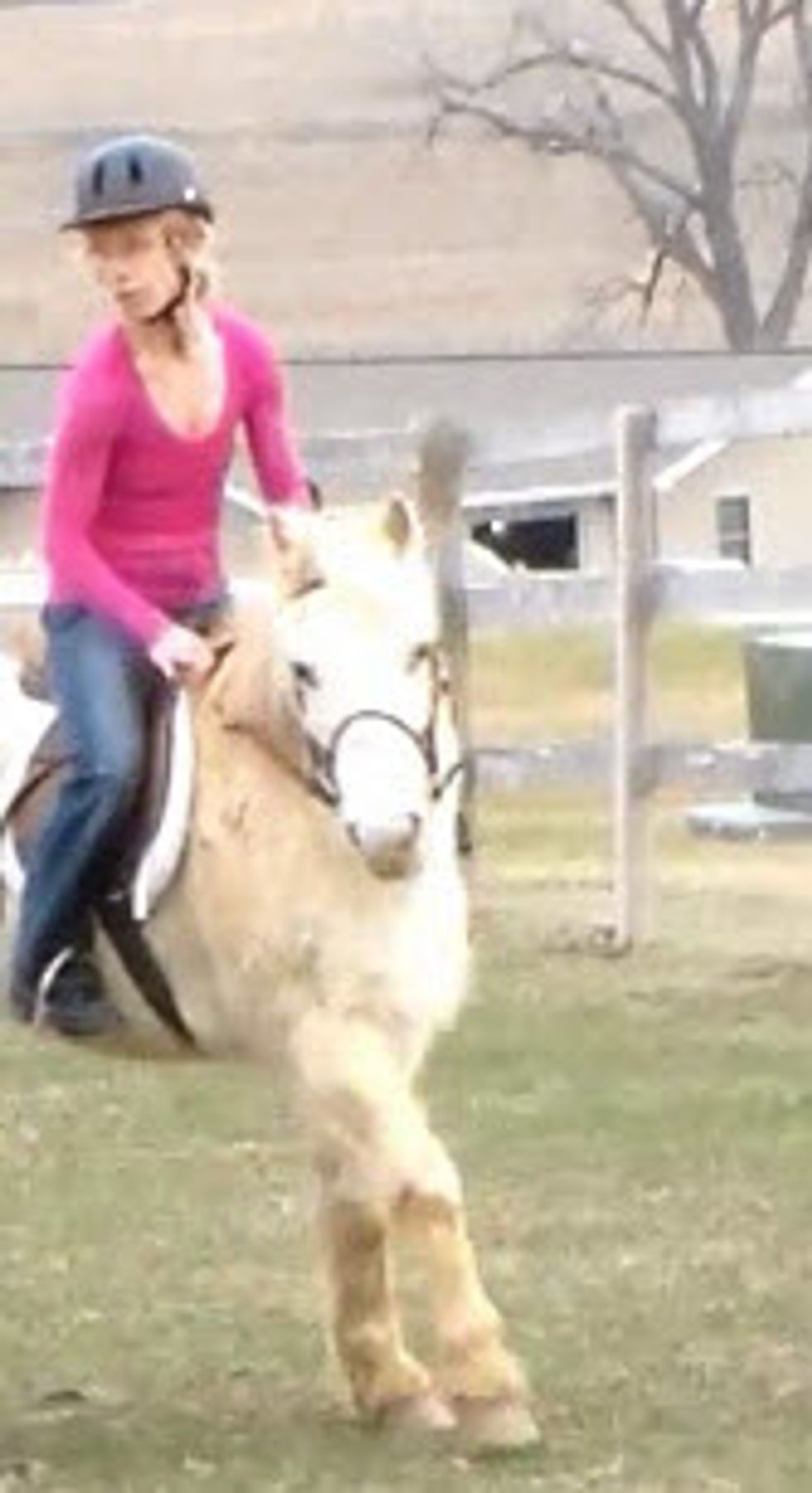 How to use the one rein stop B+C Guides