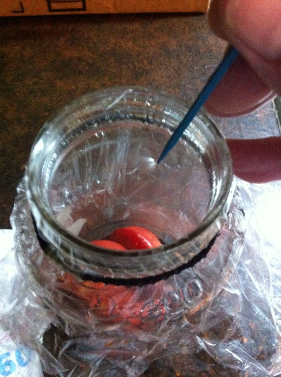 How to make a homemade fruit fly or gnat trap B+C Guides