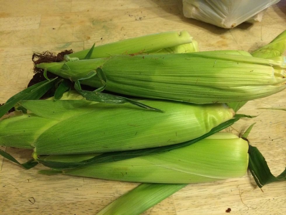 How to freeze fresh corn without shucking🌽 - B+C Guides