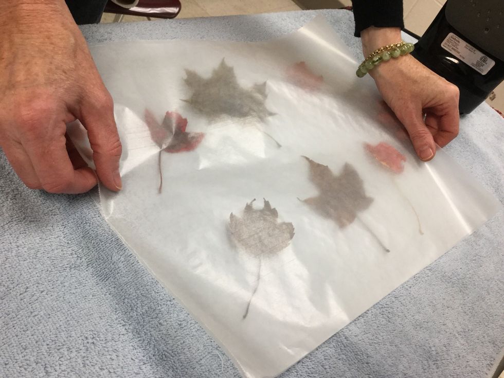 How to make wax paper leaves B+C Guides