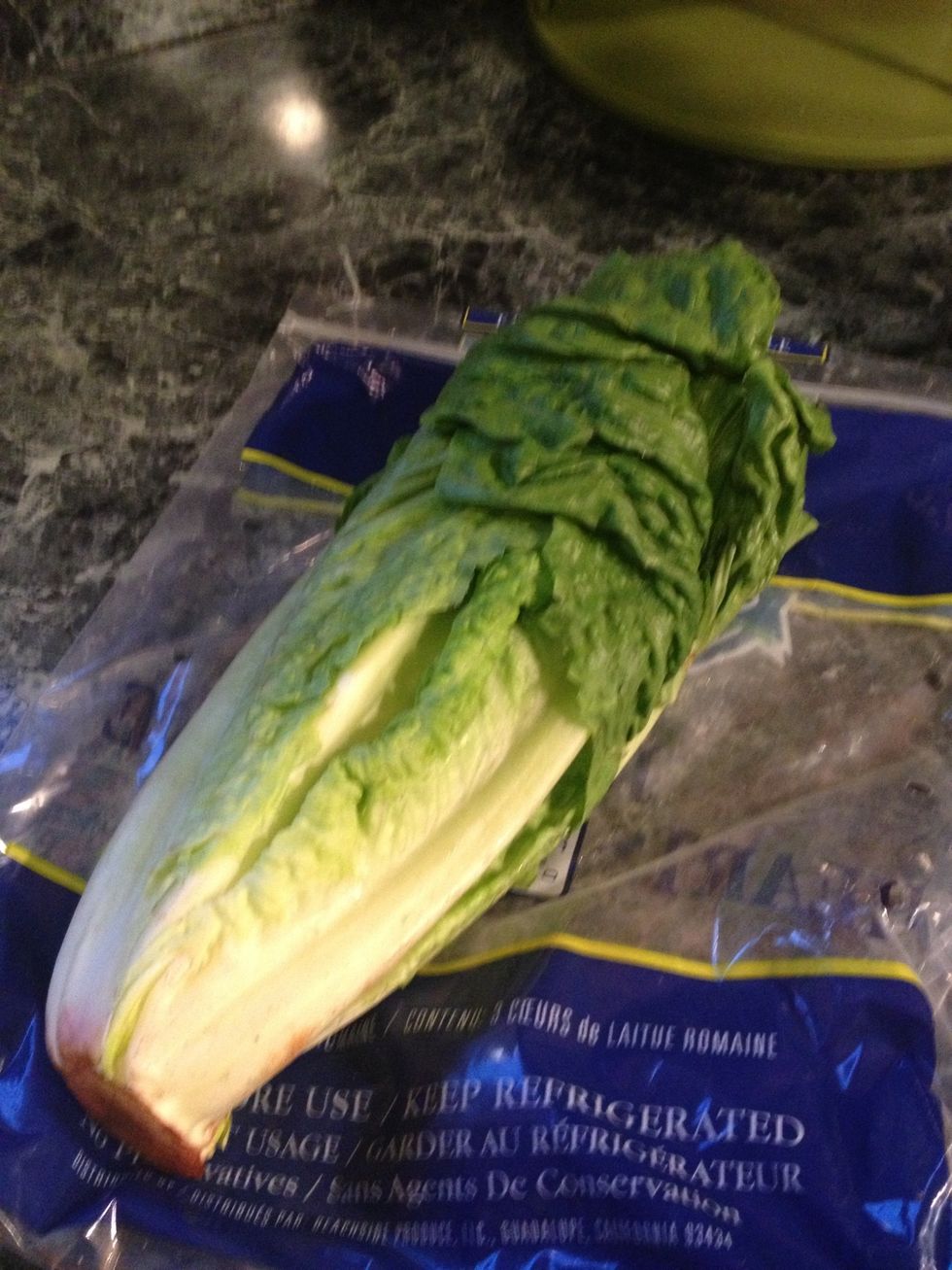 How to preserve lettuce B+C Guides