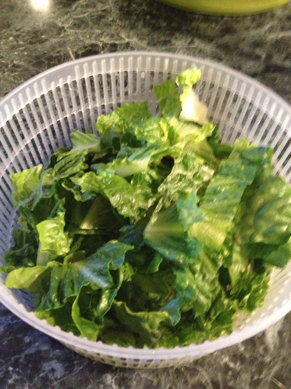 How to preserve lettuce B+C Guides
