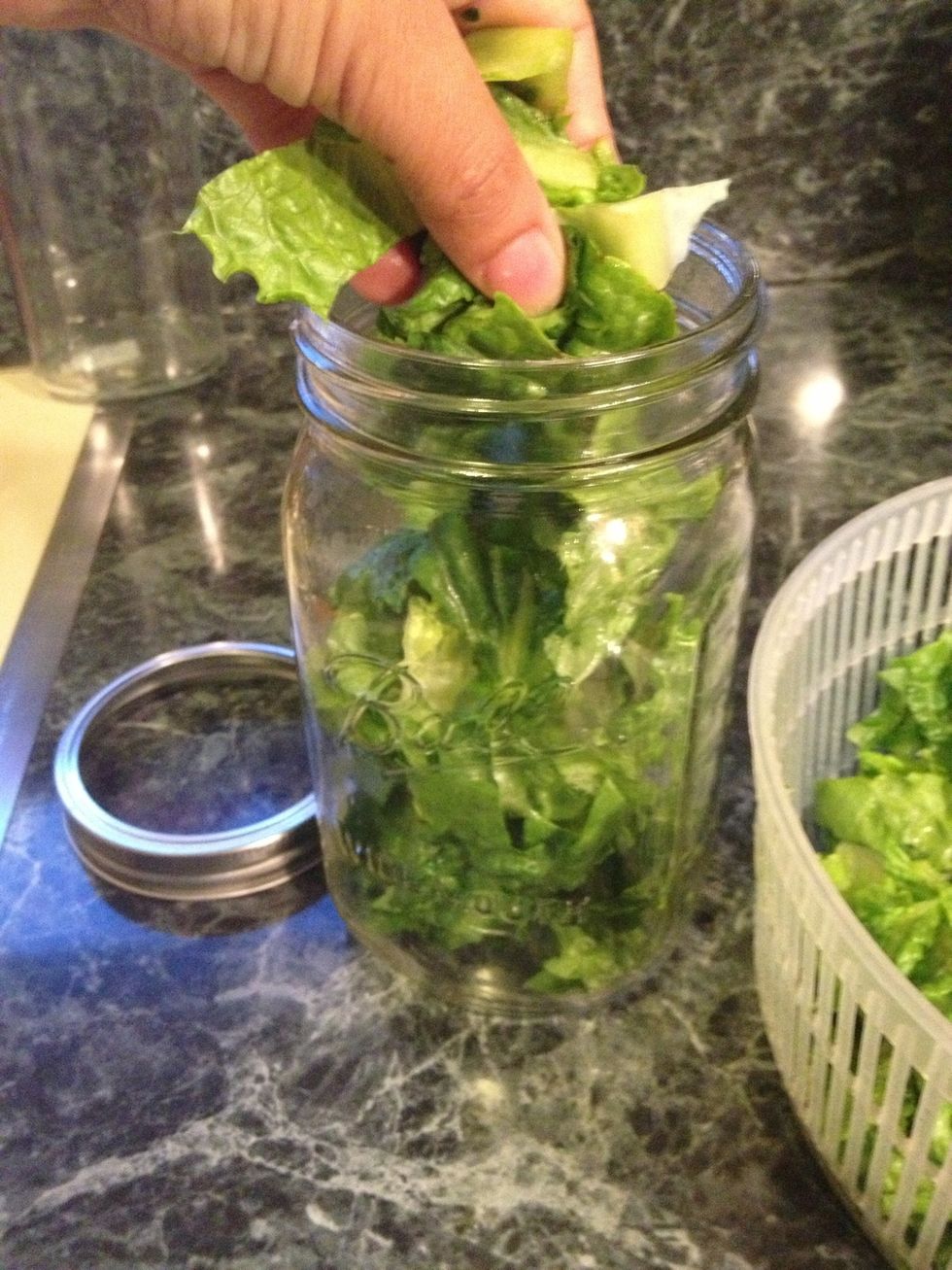 How to preserve lettuce B+C Guides