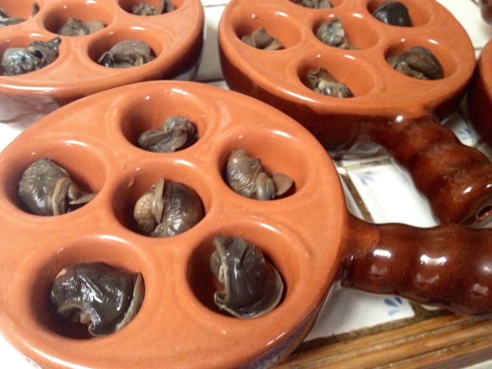 How to cook traditional french snails B+C Guides