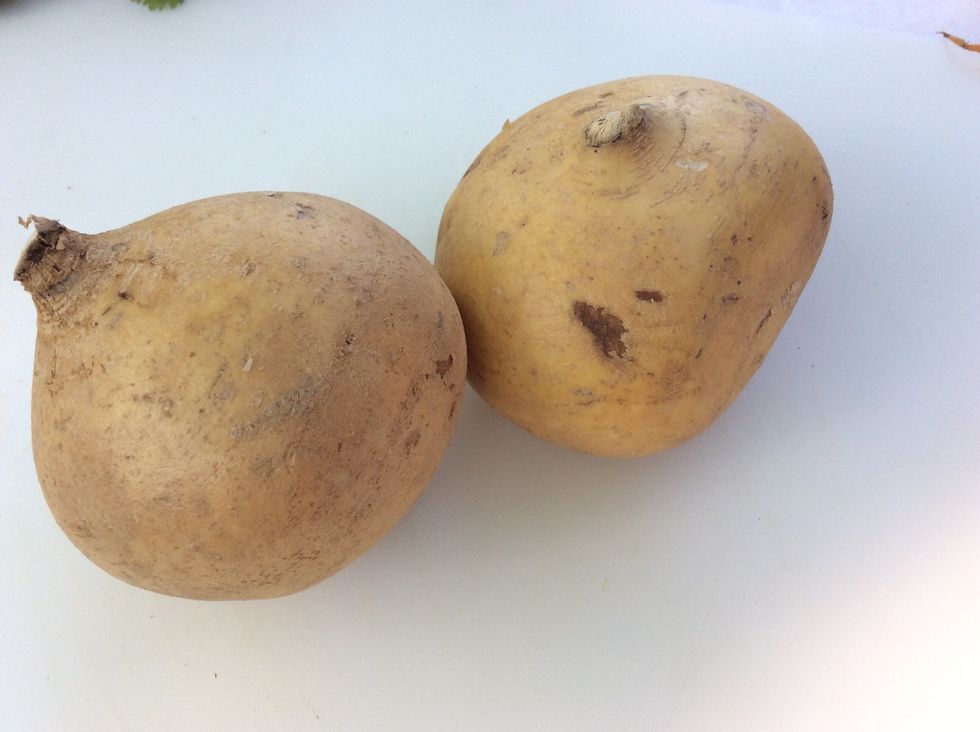 How to make fresh jicama salad B+C Guides