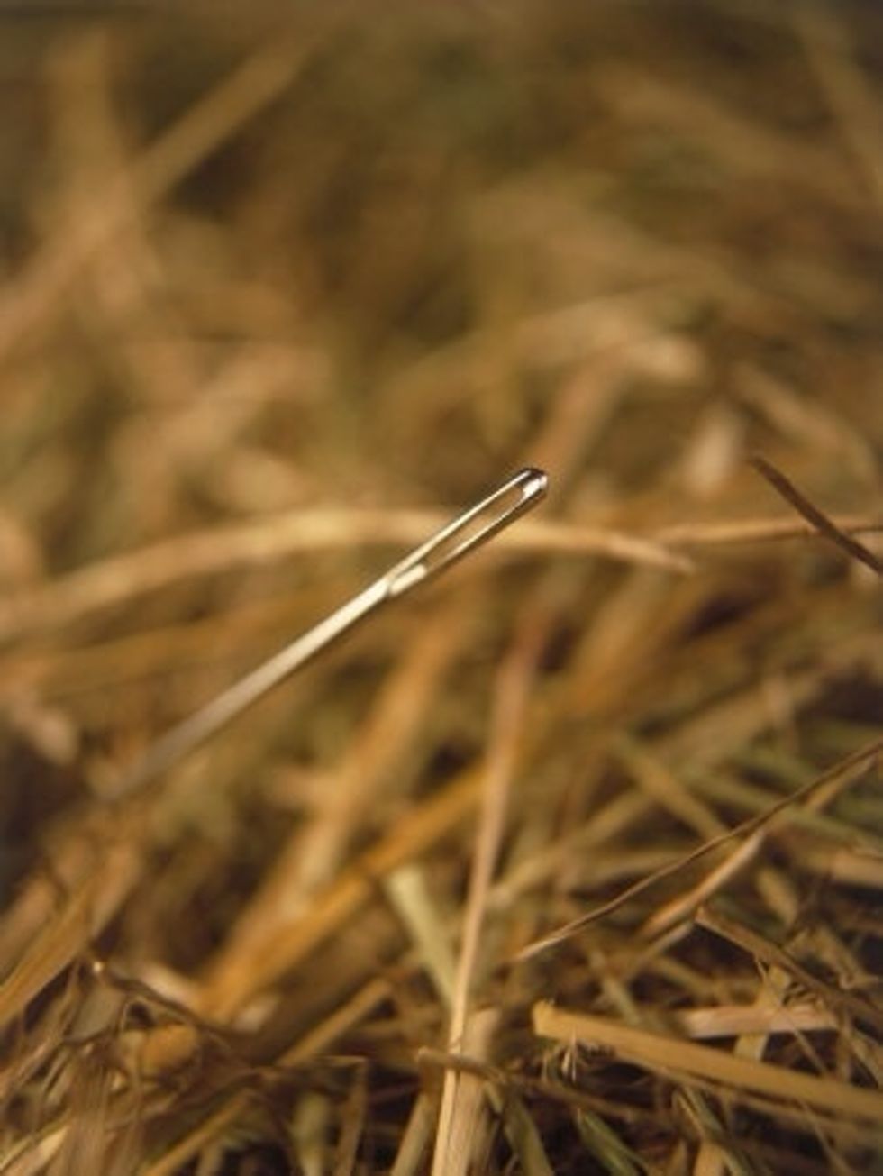 How To Find A Needle In A Haystack B C Guides How To Find A Needle In A Haystack B C Guides