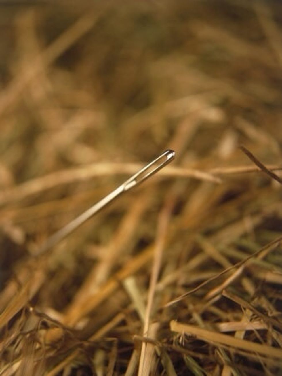 how-to-find-a-needle-in-a-haystack-b-c-guides