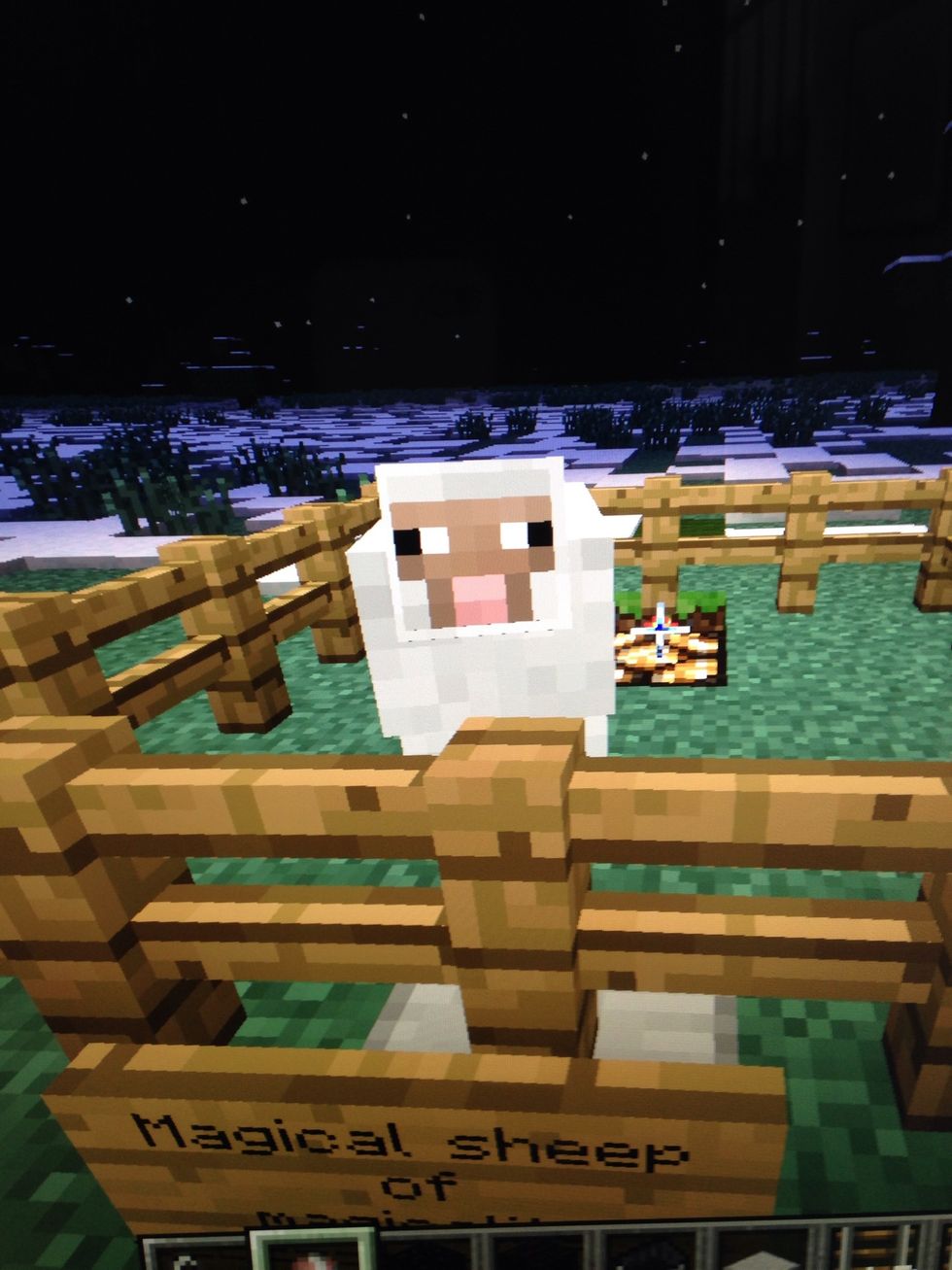 How to make a magic sheep in minecraft B+C Guides