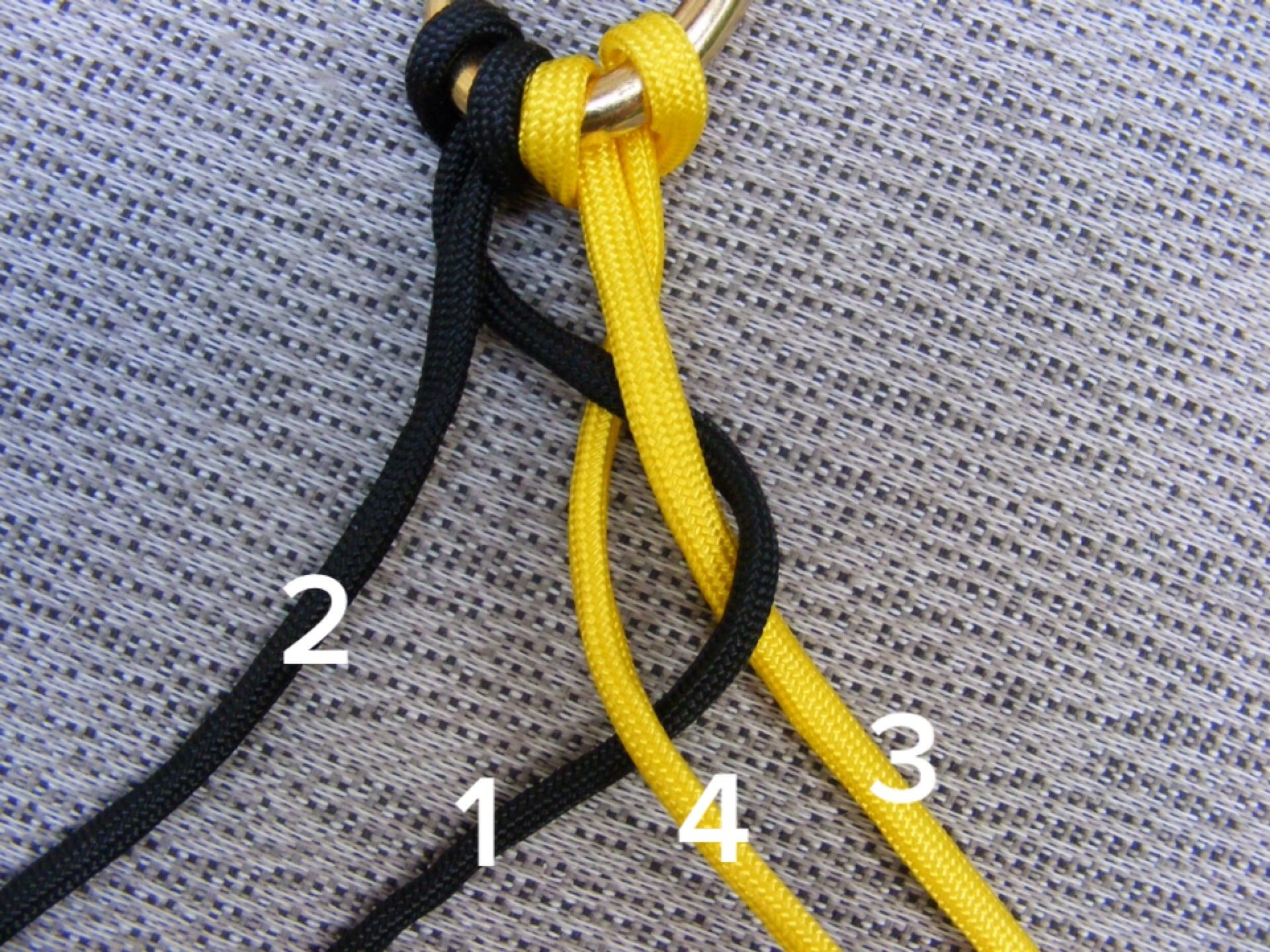 dog leash knot