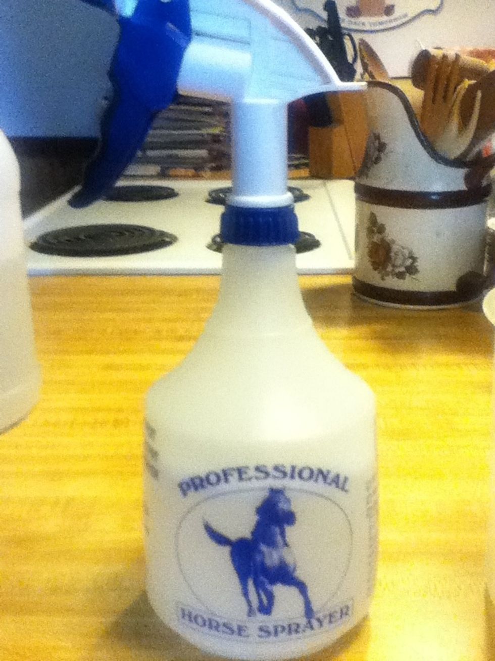 How to make a fly spray for horses with sensitive skin B+C Guides