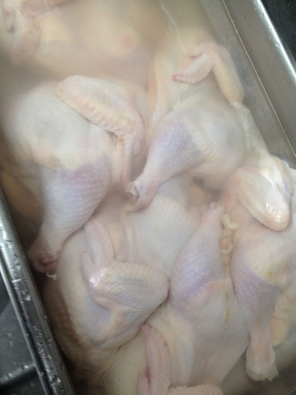 How to smoke chickens in the altoshaam combi oven B+C Guides