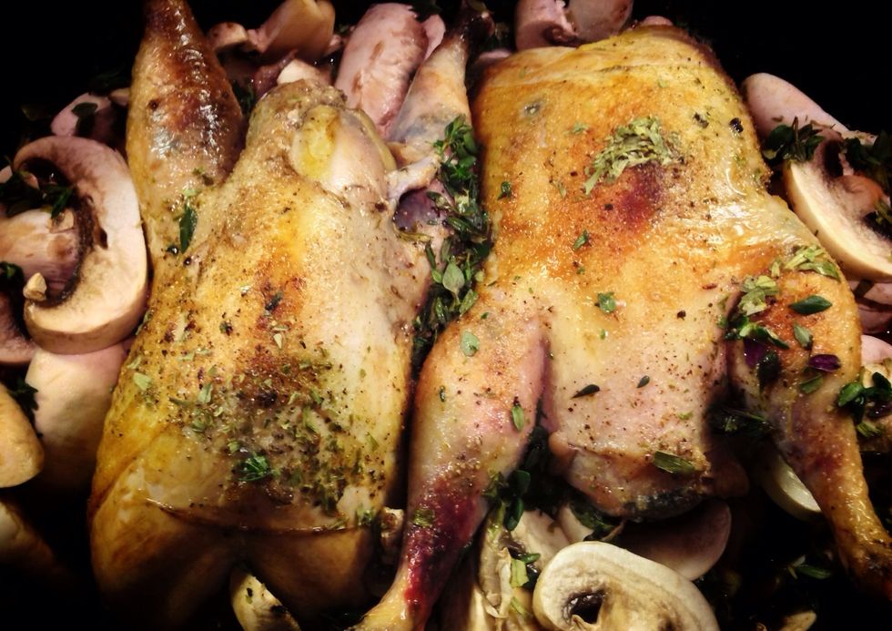 How to make a potroast pheasant B+C Guides