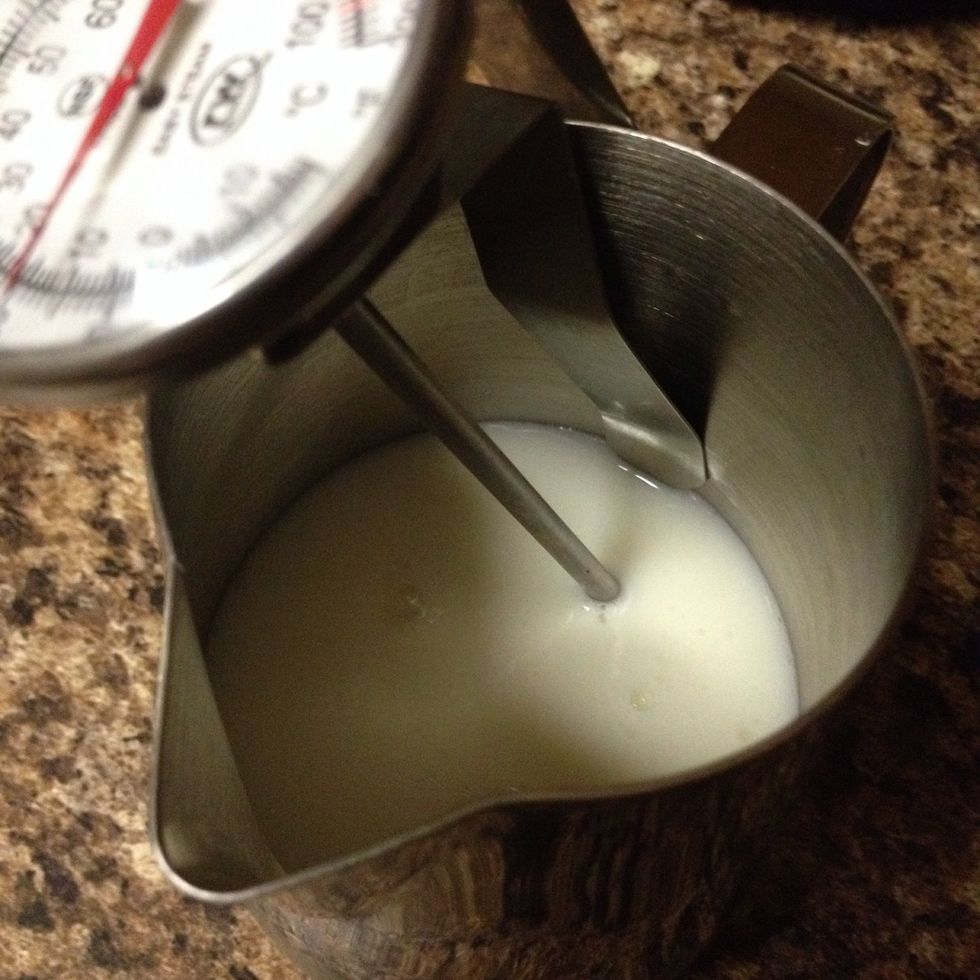 How to steam milk for latte art B+C Guides