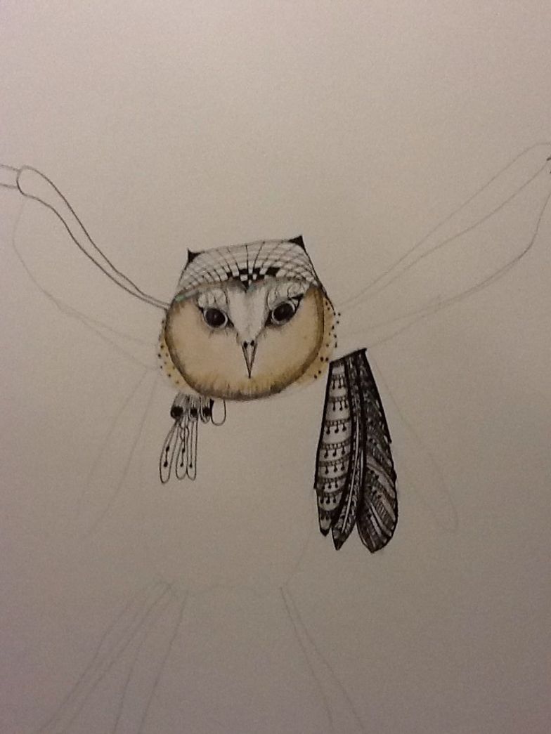 How To Paint Draw Birds Wings B C Guides