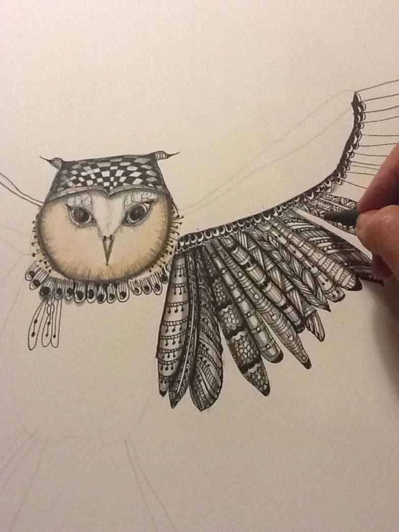 Bird Wings Drawing Bird Wings Drawing