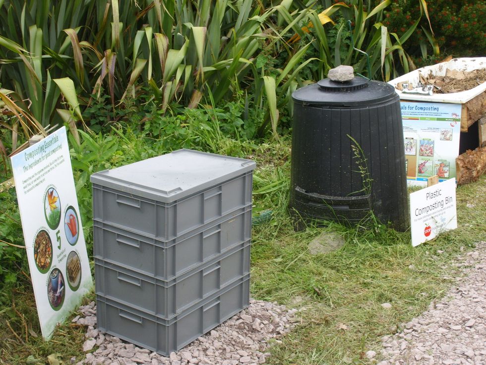 How to set up a wormery (worm composting) B+C Guides